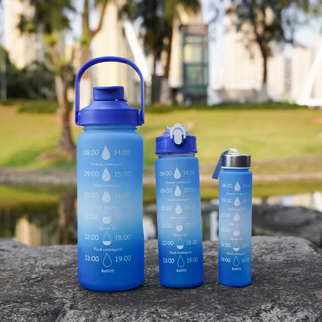 Nellyinspire Waterbottle set of 3- C604.
