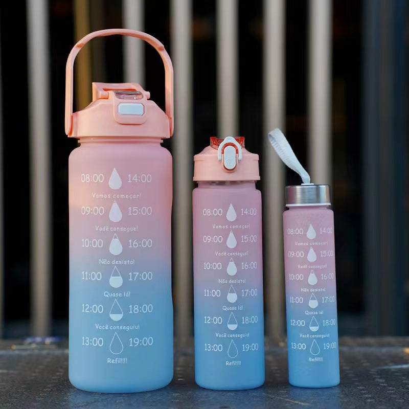 Nellyinspire Waterbottle set of 3- C603.