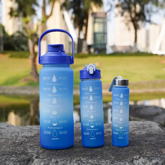 Nellyinspire Waterbottle set of 3- C604.
